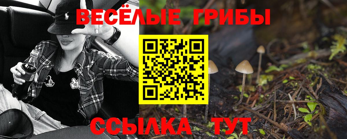 Галлюциногенные грибы Psilocybe Воронеж